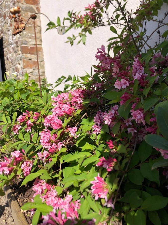 La Cotentine Maison D'Hotes (Adults Only) Saint-Pair-sur-Mer Exterior foto